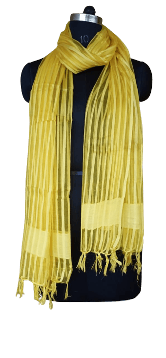 Organza Dupatta silkzon.in