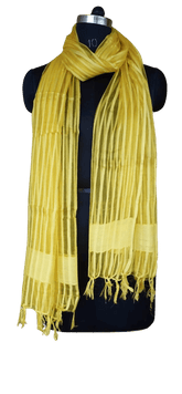 Organza Dupatta silkzon.in