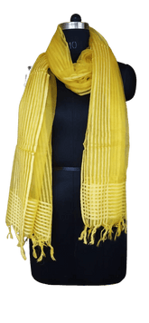 Organza Dupatta silkzon.in