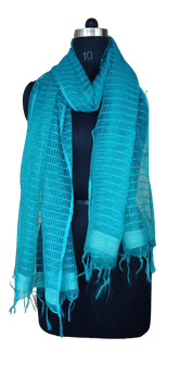 Organza Dupatta silkzon.in