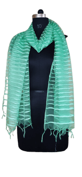 Organza Dupatta silkzon.in