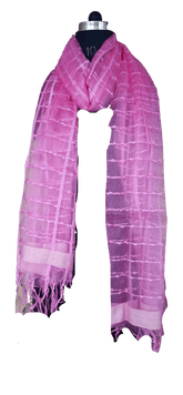 Organza Dupatta silkzon.in