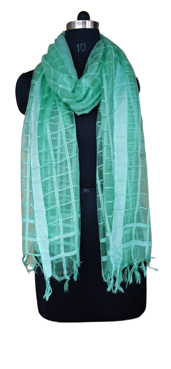 Organza Dupatta silkzon.in