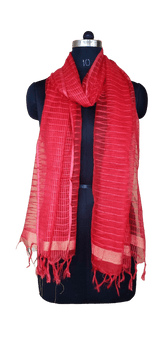 Organza Dupatta silkzon.in