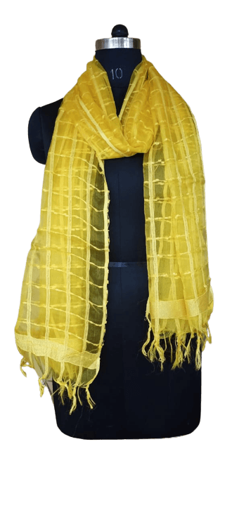 Organza Dupatta silkzon.in