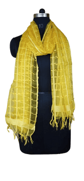 Organza Dupatta silkzon.in
