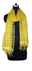 Organza Dupatta silkzon.in