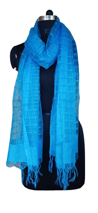 Organza Dupatta silkzon.in