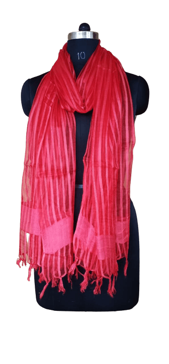 Organza Dupatta silkzon.in