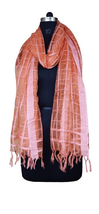 Organza Dupatta silkzon.in