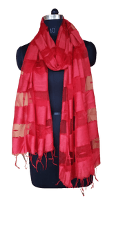 Organza Dupatta silkzon.in