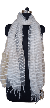 Organza Dupatta silkzon.in
