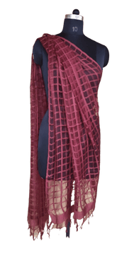Organza Dupatta silkzon.in