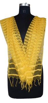 Organza Dupatta silkzon.in