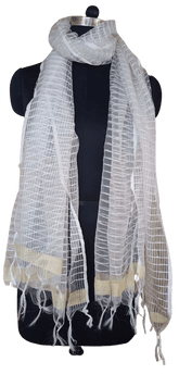 Organza Dupatta silkzon.in