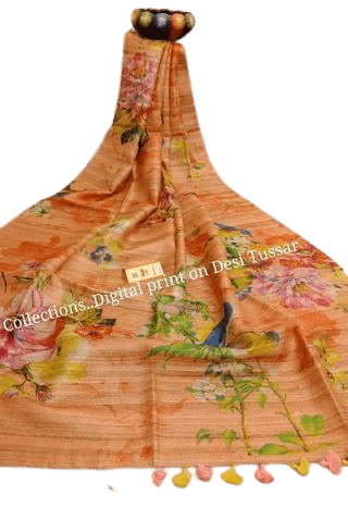 Handloom tussur silk digital print saree SILK ZONE