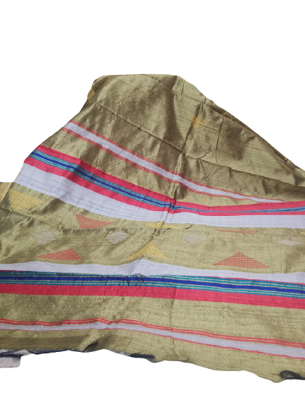 Tussar dupion silk saree SILK ZONE