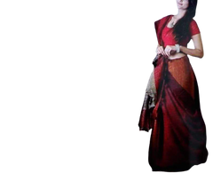 Pure linen plane saree SILK ZONE