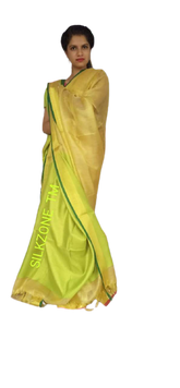 Tissue linen plain saree SILK ZONE