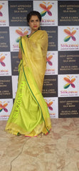 Tissue linen plain saree SILK ZONE