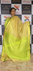 Tissue linen plain saree SILK ZONE