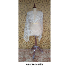 Organza jute dupatta M J HANDLOOMS