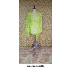 Organza jute dupatta M J HANDLOOMS