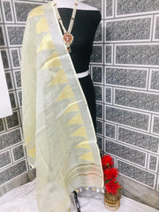 Tissue linen temple border dupatta Express