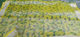 Tissue linen printed saree SILK ZONE