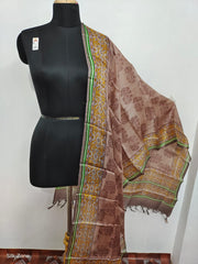 Tussar silk handblock print dupatta silkzone