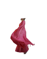 Pure Tussar Silk print saree