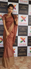 Soft silk jacquard border saree SILK ZONE