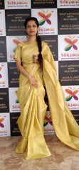 Tussar Munga Silk Saree SILK ZONE