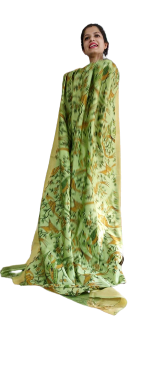 Organza Model Silk Saree SILK ZONE