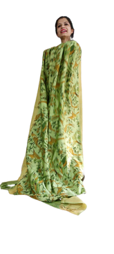Organza Model Silk Saree SILK ZONE