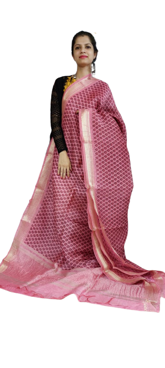 Organza Silk Linen Saree SILK ZONE