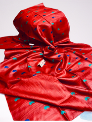 Tussar Handloom Silk Embroidery Saree SILK ZONE