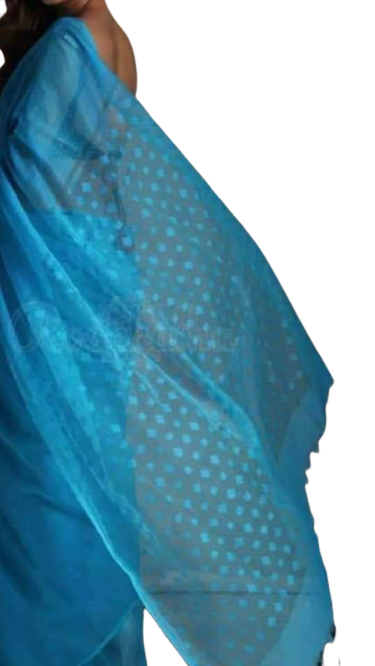 Soft Silk Cutwork Saree SILK ZONE