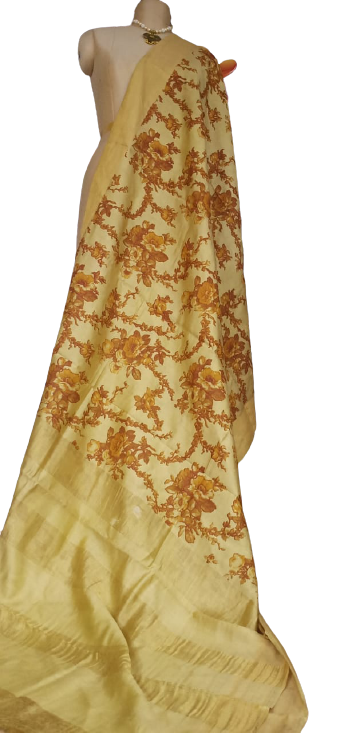 Organza Model Silk Saree SILK ZONE