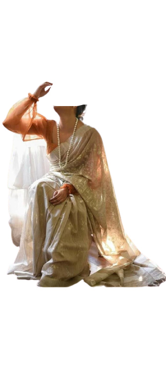 Waswara Soft Silk Saree M J HANDLOOM