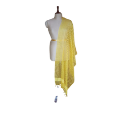 Organza jute dupatta M J HANDLOOMS