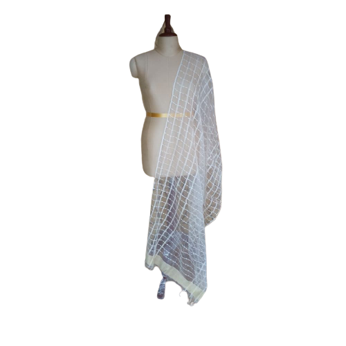 Organza jute dupatta M J HANDLOOMS