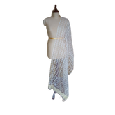 Organza jute dupatta M J HANDLOOMS