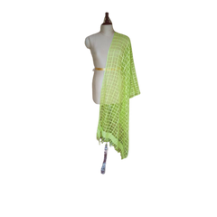 Organza jute dupatta M J HANDLOOMS