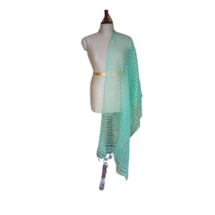 Organza jute dupatta M J HANDLOOMS