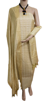 Soft silk fancy suit SILK ZONE