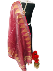 Tissue linen temple border dupatta Express
