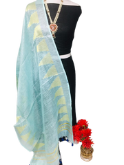 Tissue linen temple border dupatta Express