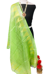 Tissue linen temple border dupatta Express