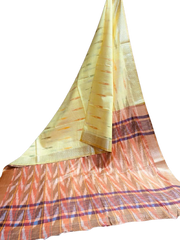 Ikkat cotton saree SILK ZONE